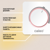 Терморегулятор CALEO C450